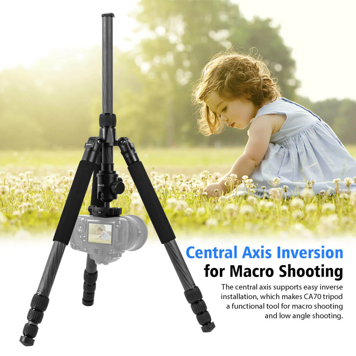 Moman CA70 Best Carbon Fiber Travel Tripod with Central Axis, 15kg Payload - Image 7