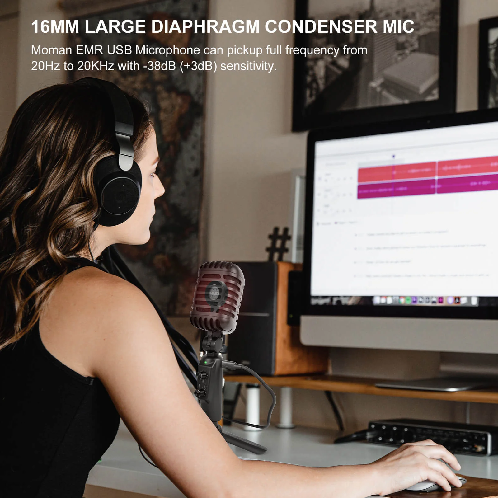 Moman EMR Retro USB Microphone - Image 3